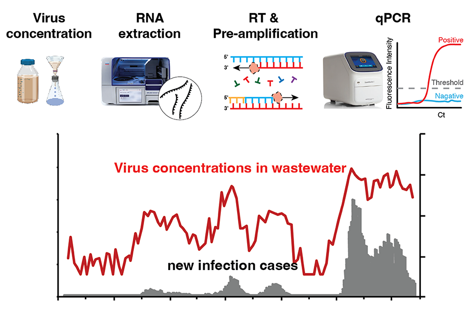 Development of high-sensitivity and high-accuracy detection technology for viruses in wastewater