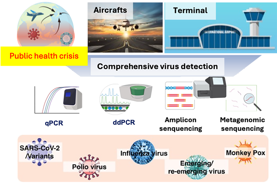Monitoring cross-border inflow of viral infections through sewage epidemiology surveys at international airports