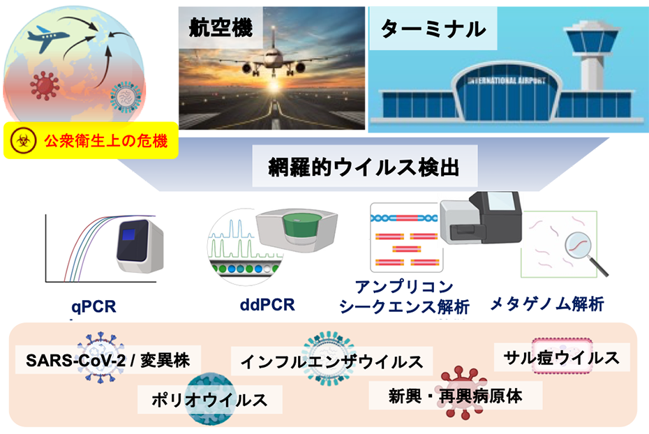 国際空港での下水疫学調査によるウイルス感染症の越境流入監視